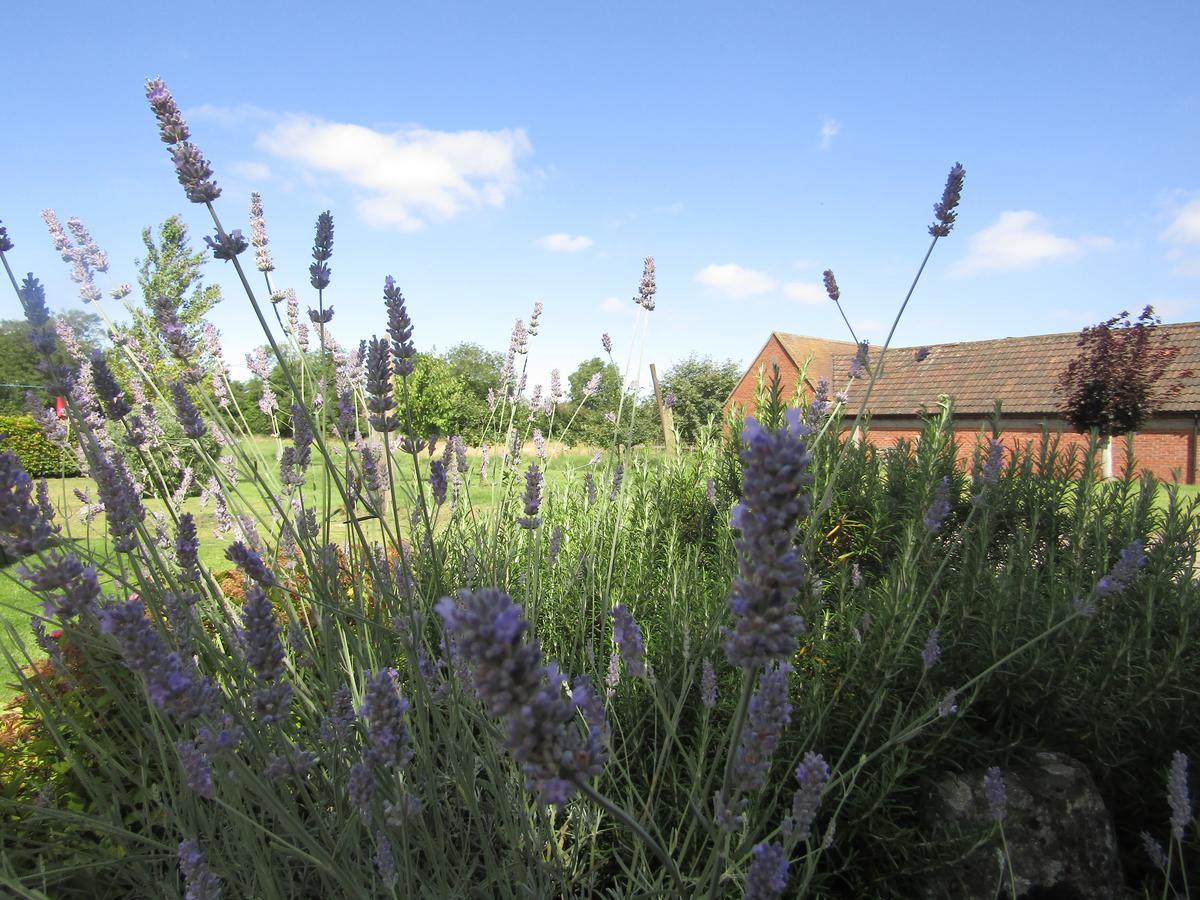 Home Farm Boreham Вормінстер Екстер'єр фото