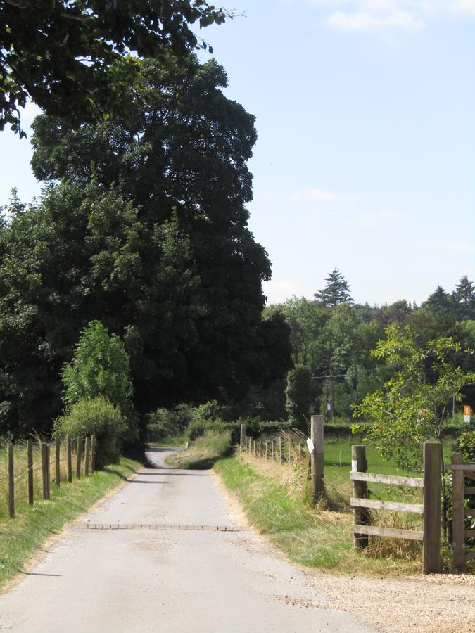 Home Farm Boreham Вормінстер Екстер'єр фото